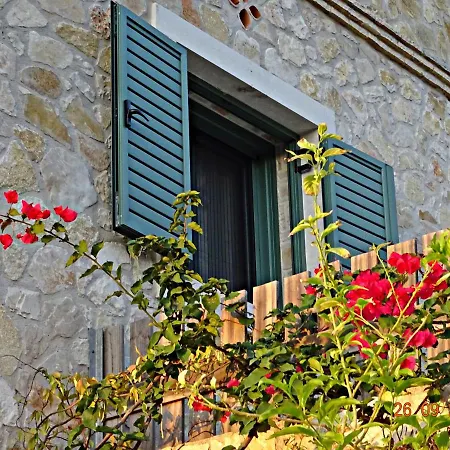 Artistsvillas-red Rose