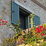 Artistsvillas-Red Rose